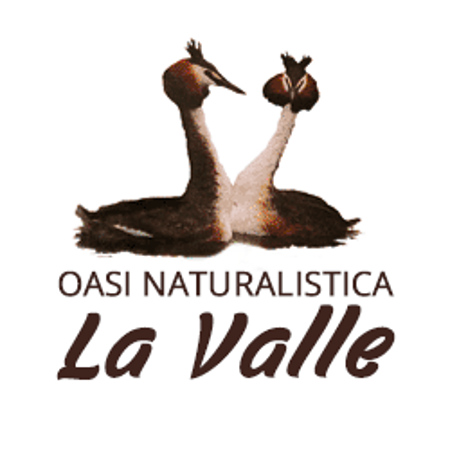 L'Alzavola Soc. Coop. - gestore de l'Oasi Naturalistica la Valle