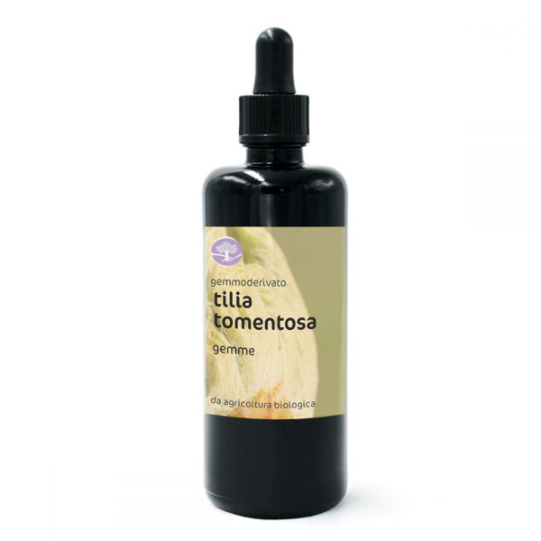 Immagine di TILIA TOMENTOSA BIO GM 50ml