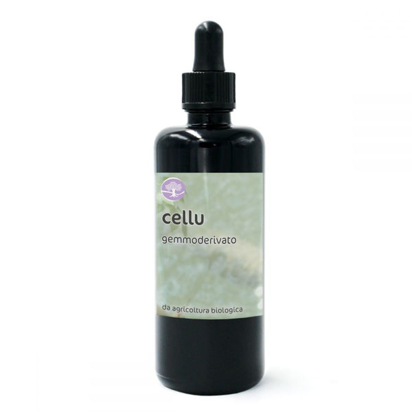 Immagine di CELLU BIO GM 50ml