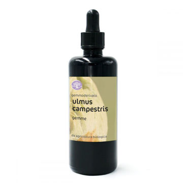 Visualizza i dettagli per ULMUS CAMPESTRIS GM 50ml BIO Immagine di ULMUS CAMPESTRIS GM 50ml BIO